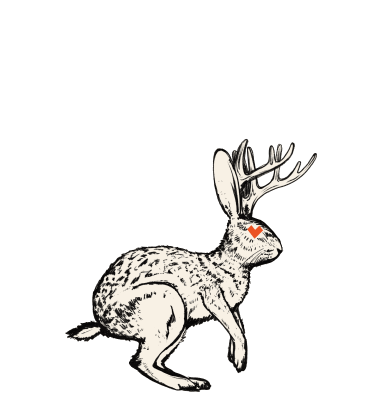 Running Rabbit