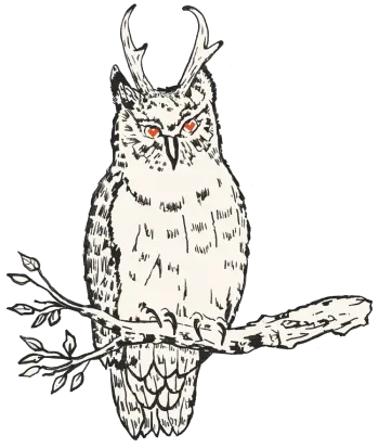 Support Owl